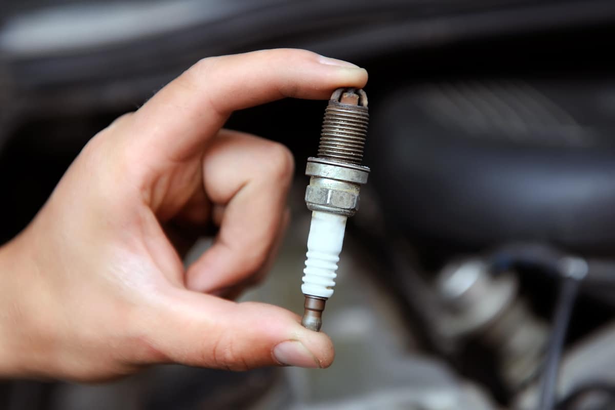 Auto mechanic holds an spark plug
