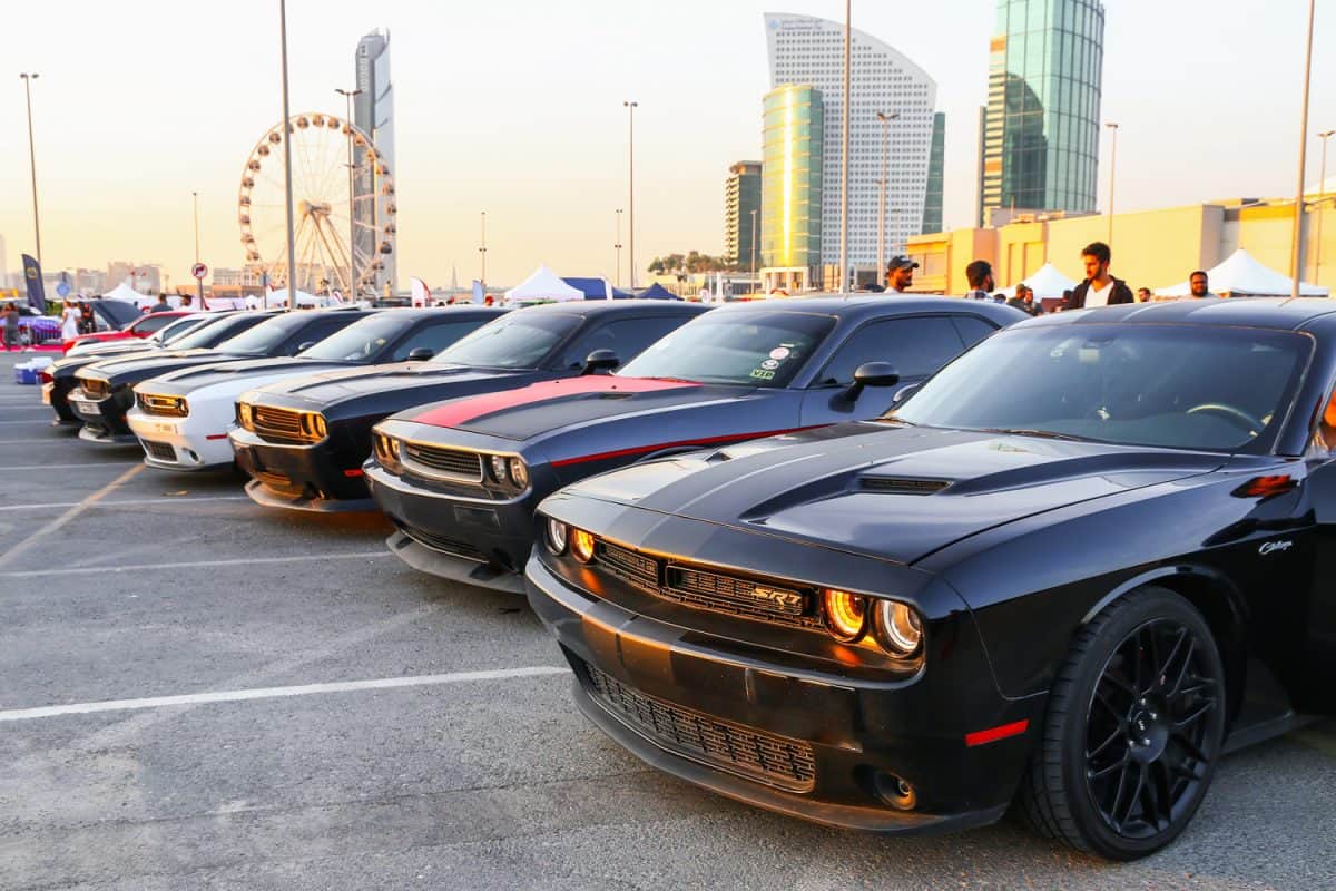  American muscle cars Dodge Challenger take part in the Gulf Car Festival.