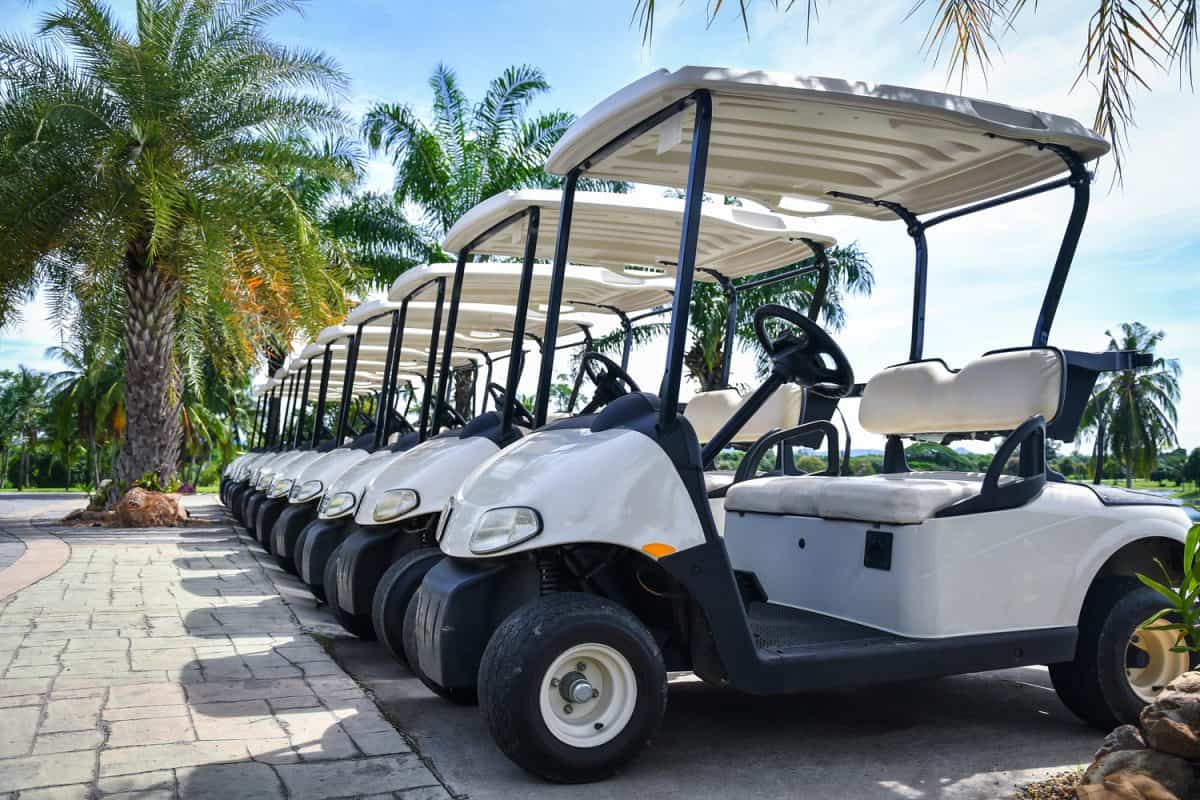 Golf carts and palm tree on blue.
