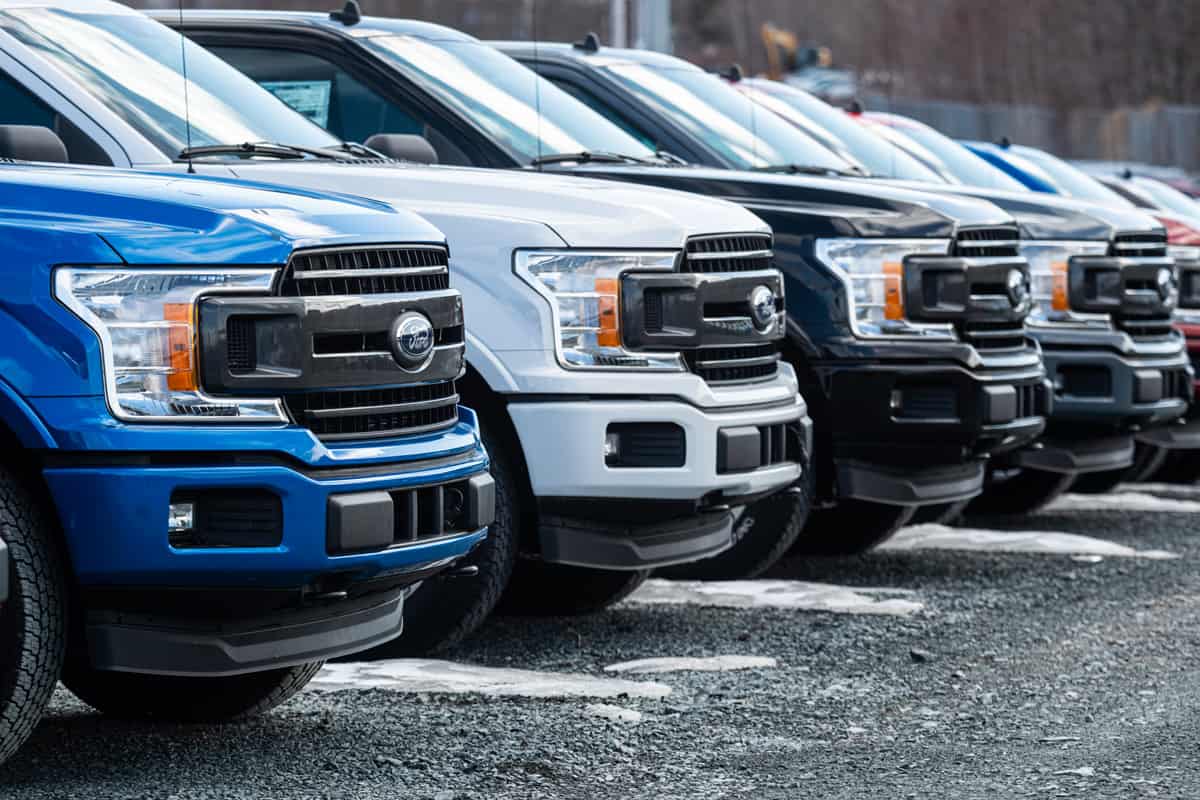 A long line of Ford F150s at a parking lot